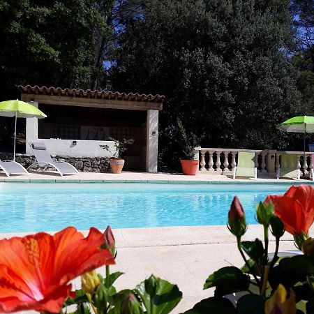 Le Mas des Hibiscus Trans-en-Provence Eksteriør billede
